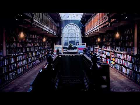 Library Study Session ASMR Ambience