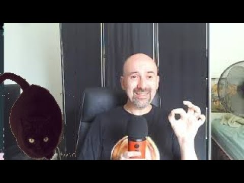 Mi gato Calcetines || Vida y obra || Asmr en español