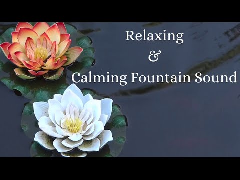 💦Water Celtic Sound | Calming and Relaxing Fountain in Nature | 🐟