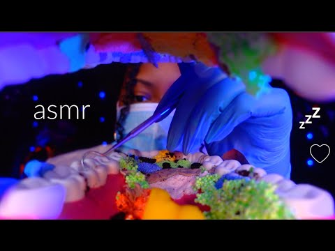 ASMR ♡ Sweet Dentist Cleans Your Teeth 😁🦷🪥(She's Infatuated With You..✨)