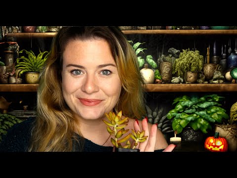 asmr pov: mystery at the plant shop 🪴 sleepy rainy night ambience, strange horticulture roleplay