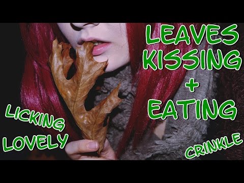 HARMONY ASMR Leaves Kissing and Eating