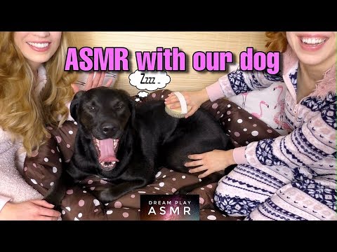 ★ASMR★ Wir entspannen unseren Hund 🐶  (binaural sounds) | Dream Play ASMR