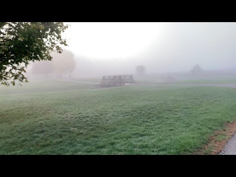 Foggy Fall Day Park Walkthrough Lo-Fi ASMR 🌫