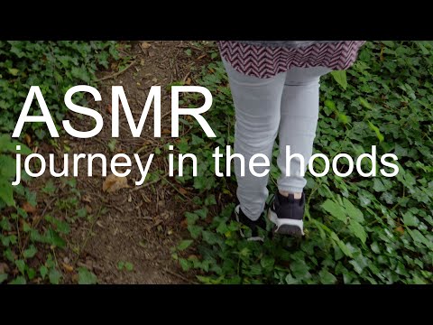 Sylvan Steps: ASMR Forest Walk with Creek Crossings and Natural Obstacles