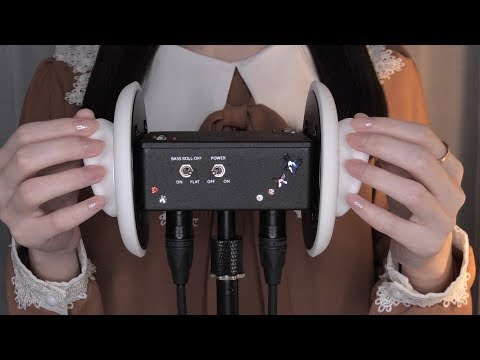ASMR Gently Tap Your Ears (No Talking)