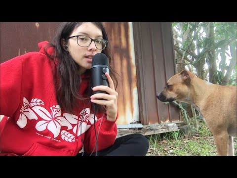 TRYING TO DO ASMR OUTDOORS :)