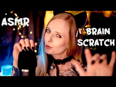 ASMR | Soft Ear Attention for Deep Sleep💤Mic Scratching and close up Whisper + Special Guest 🐱