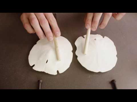 ASMR #86 - Scratching and brushing on sand dollars and foam