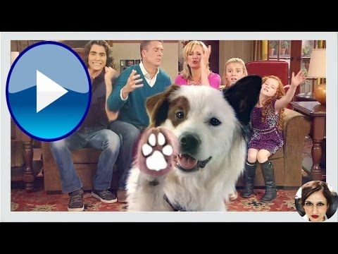 dog with blog full episode - Dog with a Blog - Avery Schools Tyler - Disney Channel - Review