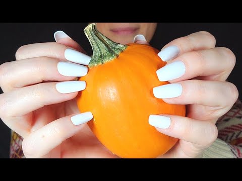 ASMR Fast Pumpkin Tapping And Scratching | No Talking