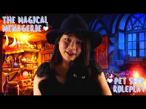 Harry Potter ASMR | The Magical Menagerie Pet Shop Roleplay ASMR | Featuring 5 Cats and 1 Dog