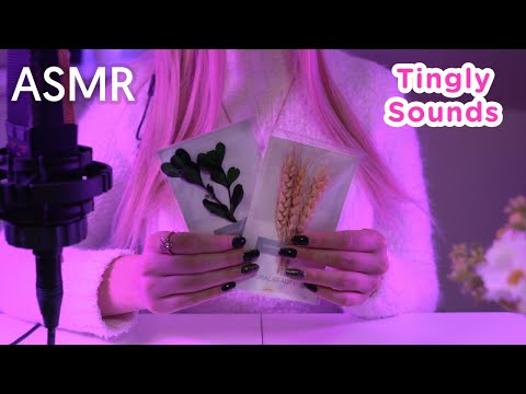 ASMR | Gentle Tapping and Scratching for Sleep 🌼🎧