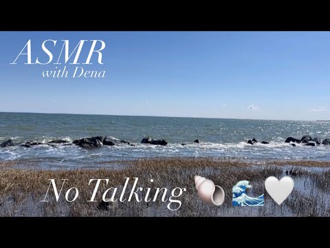 asmr - satisfying beach & nature sounds (waves, seashells, walking sounds)