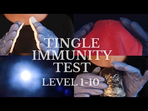 [ASMR] Tingle Immunity Test Level 1-10 *no talking*