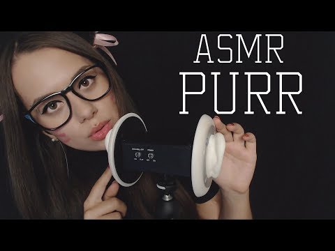 🐱 ASMR Purring+Ear Licking 🐱 | ASMR HoneyGirl