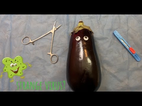 [ASMR] Surgery On Eggplant