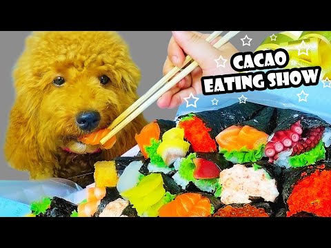 CACAO ASMR EATING SUSHI ( SALMON X FRIED PORK | DOG EATING SOUNDS | LINH-ASMR