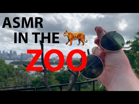 Fast and Aggressive ASMR in the Australian ZOO 🐅