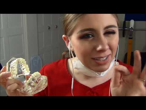 [ASMR] Dental Consultation & Cleaning [RP] [English]