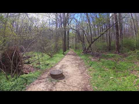 ASMR Hiking Binaural Springtime Hike, Birds Chirping, Running Creek (Part 2)