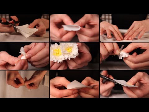 [ASMR] 사각사각 바스락 종이 꽃 만들기 - 작약의 꽃말은 '수줍음'이래요. / Origami Peony / Sound of paper /Sound of scissors