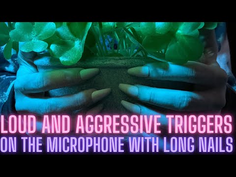 ASMR Loud and Aggressive Triggers On the Mic For the Most Intense Tingles (No Talking)