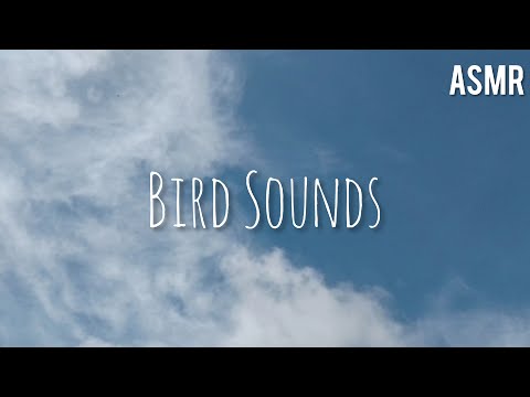 ASMR Birds Singing with Sky View (Relaxing Sounds)