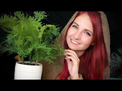 ASMR | Cozy Tea, Talks, and Tingles (tapping, page flipping, soft-spoken)