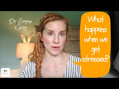 How Stress Affects You: *Plus a bonus stress busting tip*