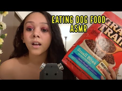 Trying Dog Food ASMR