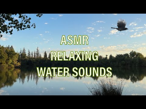 Gentle Stream Sounds | Relaxing Water Sounds For Relaxation, Sleep, Insomnia |ASMR Nature 💆🏽‍♀️
