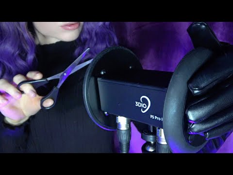 ASMR Your Favorite Ear Triggers for Tingles (3Dio, No Talking, Cleaning, Brushing, Combing, Massage)