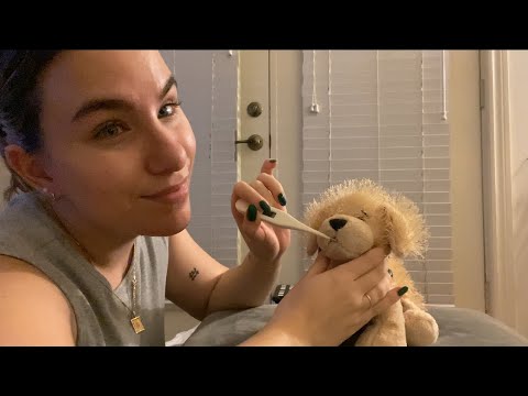 ASMR Vet Pet Exam with Stuffed Animal