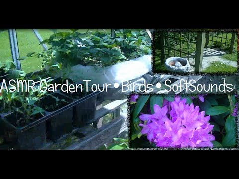 ♥ASMR♥ GardenTour•Birds•SoftSounds