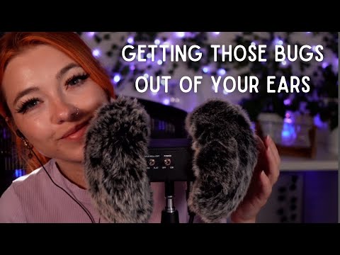 Looking for bugs in your ears ASMR