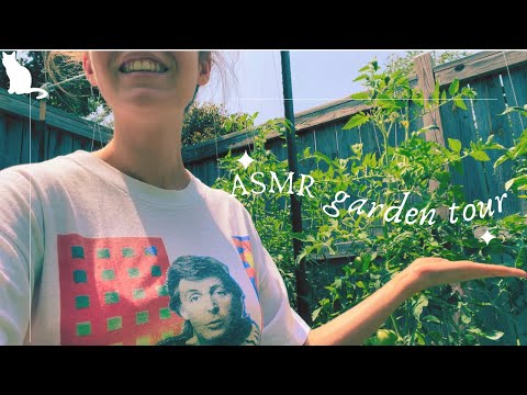 ASMR Garden Tour Walk Around