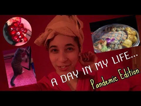 A Day In My Life ✨𝒫𝒶𝓃𝒹𝑒𝓂𝒾𝒸 𝐸𝒹𝒾𝓉𝒾𝑜𝓃✨