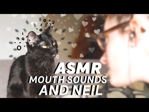 ASMR Mouth Sounds and Cat!! Purring, petting, and meowing