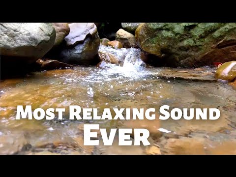 This Gentle Stream Will Put You to Sleep | Relaxing Stream. Water Sounds for sleep. Stream sounds