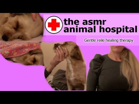 ASMR Animal hospital-Reiki healing post operation. *cute* and relaxing. soft spoken