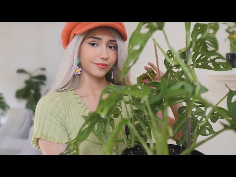 ASMR - Houseplant Tour (relaxing you, whispered and soft spoken 🌱)