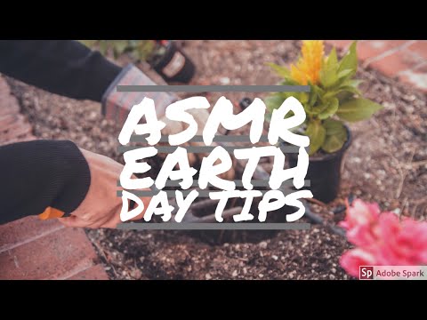 😴 ASMR - Earth Day Tips and Tricks | Male Whisper