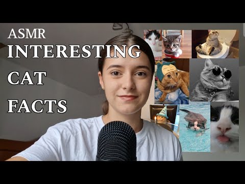 ASMR Whispering facts about cats untill you fall asleep(You should know them right meow)with photos