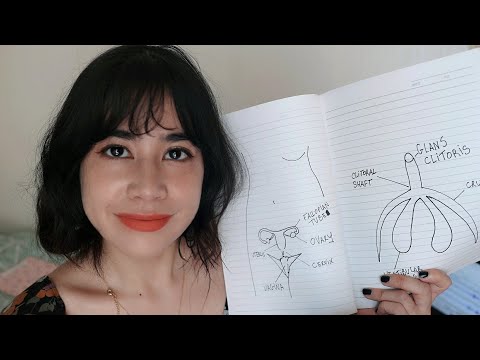 [ASMR] Learn about the C-L-I-T-O-R-I-S with Beatrice