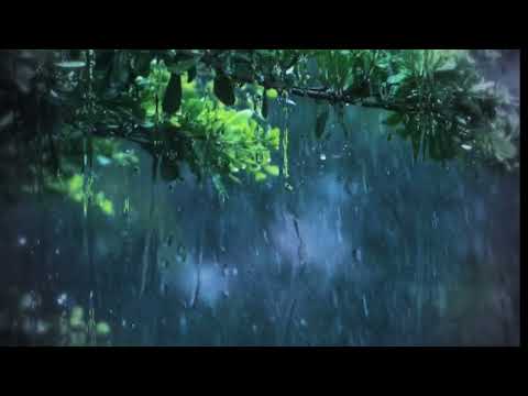 Relaxing Rain Sound For a Peaceful Sleep | Rain Dripping on the Window (White Noise )
