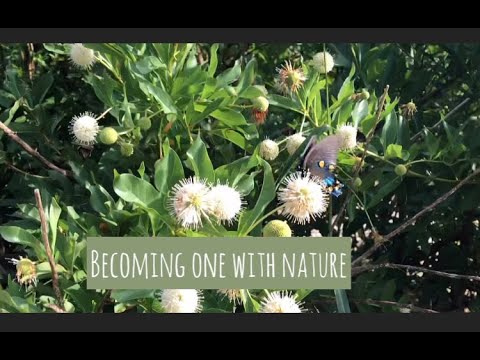 Becoming One with Nature🌿[raw nature sounds ASMR🦋]