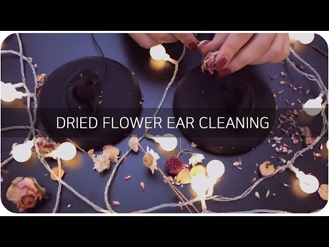 ASMR 가을 꽃잎 바스락 귀청소❤️/ Dried flower Ear Cleaning/mic Scratching/no talking ASMR/ 清洁你的耳朵