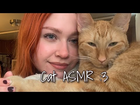 ASMR With My Cats (Close Whispers, Purring, Layered Sounds)