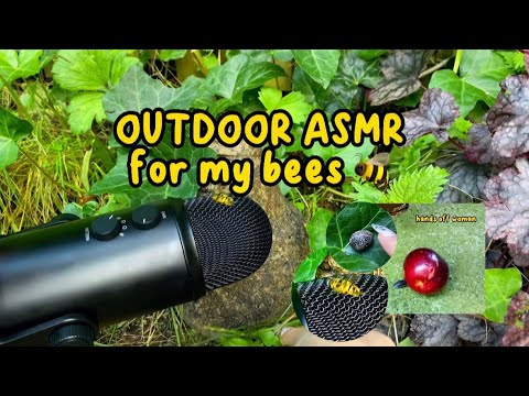 Amazing OUTDOOR ASMR 🐝🐌🪳tapping scratching relax 🌙